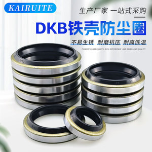 ซีลกันฝุ่นแบบเหล็ก Dkb ขนาด 18-175 มม. สำหรับกระบอกไฮดรอลิก ปะเก็นซีลป้องกันการสึกหรอ ใช้ในงานเครื่องจักรกล - Product Image 2