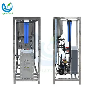 Industrielle Destillierte Ultra Pure Water Demineral isierung Edi Water Ionization System Ro Anlage für Make-up verwenden Wasser