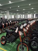 3000W Elektrikli Motosiklet 48V 20Ah Lityum Pil 60km/s Yetişkin Elektrikli Arazi Motosikleti Off Road E Moto Hidrolik Disk Fren GT2000