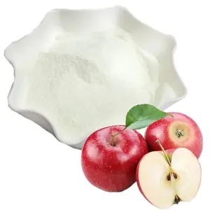 Factory Supplier Bulk Apple Fruit Cider Vinegar Powder White Powder Apple Cider Vinegar Powder Best Price Supplement Organic