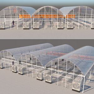 Túnel de película PE de invernadero agrícola de un solo tramo verde de una hoja con construcción de acero - Product Image 2