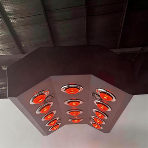 Système de thérapie infrarouge pour chevaux, solarium, thérapie par lumière rouge, système de récupération musculaire, chauffage, équipement de séchage pour écurie - Product Image 3