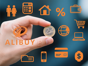 وكيل عام Taobao عبر الإنترنت في الصين لشراء المواد النسائية ، وكيل خدمة ، منتجات مخصصة بسعر المصنع - Product Image 6