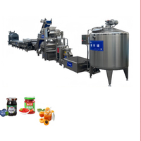 Machine de production de confiture automatique de 300 kg par heure pour les petites et moyennes usines alimentaires