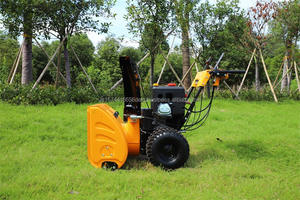 Barredora de nieve multifuncional de gasolina de bajo consumo y ahorro de energía de fábrica de China - Product Image 4