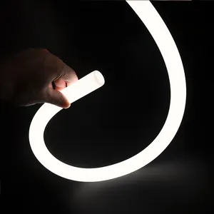 360 Degrés Émetteur De Silicium Tube Led Néon Bande Forme Ronde Diamètre 22mm IP68 Étanche Flexible Led Néon Bande Corde Lumière