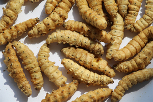 อาหารแห้งฟรีซดรายจากตัวอ่อนหนอนไหม 100% จากธรรมชาติ โปรตีนสูง สำหรับสัตว์พันธุ์เล็ก เป็นมิตรต่อสิ่งแวดล้อม บำรุงสุขภาพผิวหนังและขนด้วยสารสกัดจากหนังปลา - Product Image 3