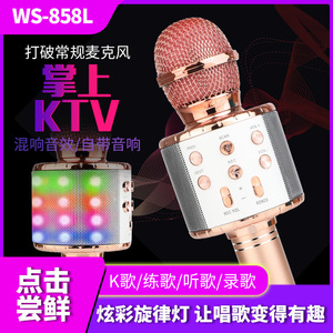 <b>Wireless</b> <b>Microphone</b> With Light Bluetooth Karaoke Mic Reverb Adjustment Rose Gold For Kids Home Use - Product Image 5