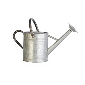 Bidon d'eau galvanisé de qualité exclusive pour jardin et plantes d'intérieur arrosoir à des prix raisonnables - Product Image 1