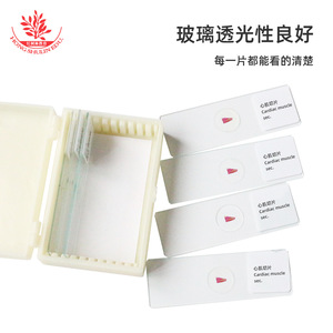Typical slide categories of <b>microscope</b> slides can be used as student gift <b>microscope</b> slides for myocardial specimens. - Product Image 5