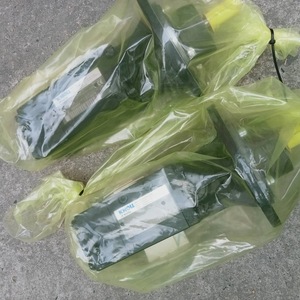 ปั๊มสกรู Knoll รุ่น KTS32-64-T ขนาด 32 มม. ช่องจ่ายออก 1 แรงม้า มอเตอร์ไฟฟ้าสามเฟส แบบหน้าแปลน ผลิตในเยอรมนี - Product Image 1