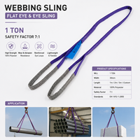 Sling de levage plat en polyester double épaisseur VINEET CE 1T violet haute résistance 25 mm x 5 m pour palan de pont roulant