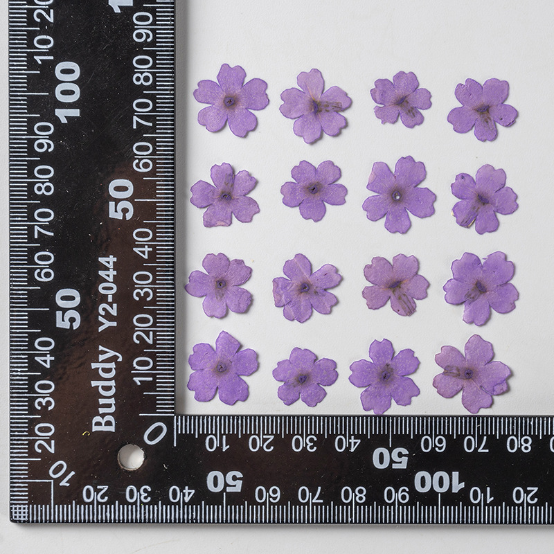 Violet teint 12 pcs/sac