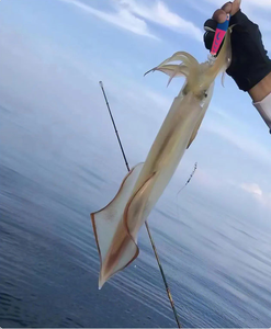 Señuelo <span class=keywords><strong>de</strong></span> pesca <span class=keywords><strong>de</strong></span> alta calidad y gran venta para camarones, calamares y pulpos, <span class=keywords><strong>de</strong></span> plomo pesado y madera, con ojos láser 3D y fluorescente - Product Image 5