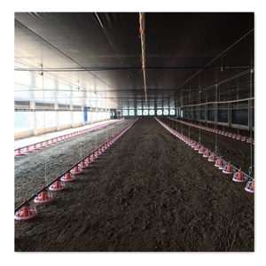 <span class=keywords><strong>Bebedero</strong></span> automático tipo taza <span class=keywords><strong>para</strong></span> aves de corral - Product Image 6