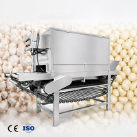 Éplucheuse d'ail professionnelle SAIDASHI, machine à éplucher l'ail de type chaîne, économique, ligne de pelage d'ail commerciale, personnalisable