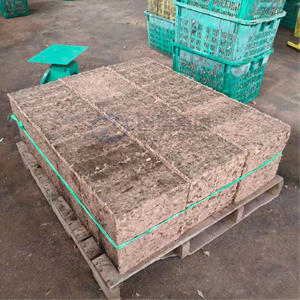 Venta de fábrica: Máquinas para procesar y partir cáscaras de coco, briquetas de fibra de coco, suelo nutritivo de cáscara de coco - Product Image 2