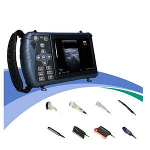 Ucuz Tam Dijital Veteriner Evcil Hayvan Tarayıcısı 12 İnç Hayvan Taşınabilir Ultrason El Tipi Cihaz CE Sertifikalı - Product Image 1