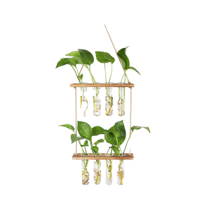 HYINDOOR Classique Écologique Hydroponique Station <span class=keywords><strong>De</strong></span> Propagation Des Plantes 8 Tubes Tube À Essai Vase Verre Planteur <span class=keywords><strong>Sapin</strong></span> Bois Pots <span class=keywords><strong>De</strong></span> Fleurs - Product Image 3
