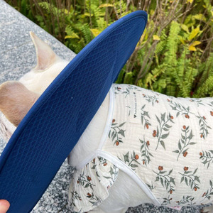 <span class=keywords><strong>Collare</strong></span> <span class=keywords><strong>per</strong></span> animali domestici Elizabeth anello di pelle sterilizzata o castrata anti leccata ferita grande <span class=keywords><strong>collare</strong></span> impermeabile <span class=keywords><strong>per</strong></span> cani - Product Image 3