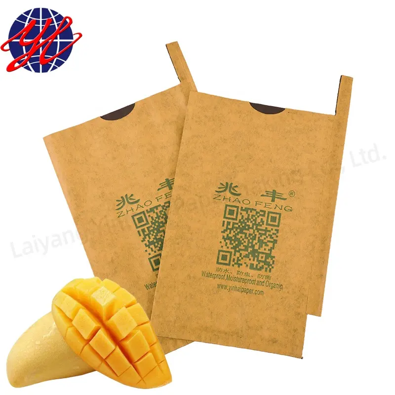 Bolsa de papel para cultivo de mango Laiyang Yintong, bolsa de papel para protección de mango, bolsa para cubrir