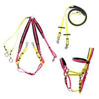 Ensemble complet d'équipement d'endurance équestre sur mesure en cuir, incluant des haltères en PVC et du nylon, et une bride de style équipement d'équitation. Livraison directe disponible.