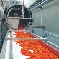 Fabrieksleverancier Sinaasappelsap Maken Machine Vruchtensap Complete Productielijn Prijs