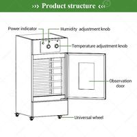 Chambre de fermentation professionnelle pour pains, beignets, pâtons et levain – Machine à pain pour boulangerie