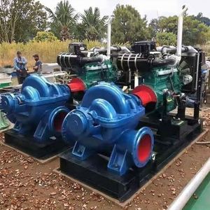 SHUANGSHENG High Performance Factory ZT-10SH High Pressure Electric Horizontal Centrifugal <b>Pump</b> Double <b>Suction</b> for Irrigation - Product Image 5