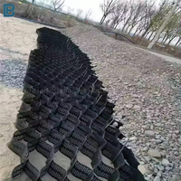 Peigne à miel PEHD en plastique Geocell texturé perforé Construction de routes mur de soutènement grille de gravier prix fabricant PP Geo Cell