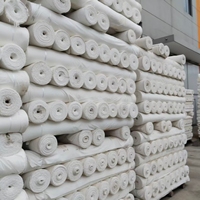 Tissu de doublure en taffetas tissé croisé 75D 190T 100% polyester à séchage rapide et respirant pour sacs et vêtements pour garçons - Vente en gros usine