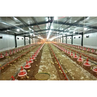 Bâtiment de poulailler à cadre en acier Ferme de poulets préfabriquée Conception libre