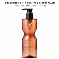 Shampooing et Gel Douche 2-en-1 500ml Niacinamide Céramide Hydratant Parfum Longue Durée Nettoyage Doux Marque Privée Vente en Gros