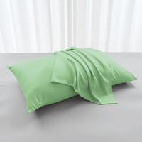 Taies d'oreiller en fibre de bambou antibactériennes, style minimaliste moderne, lavables en machine, origine Chine, couleur unie, pour l'été, paire
