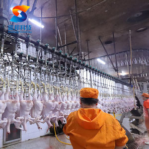 100Bph-3000Bph Planta de Procesamiento de Pollo Halal Musulmán Matanza Máquina de Matar Pollos Equipo para Matadero de Aves - Product Image 6