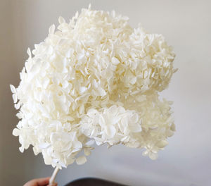 2021 en gros vraie touche <span class=keywords><strong>hortensia</strong></span> <span class=keywords><strong>bouquet</strong></span> fleurs hortensias bush violet séché hortensias conservés - Product Image 4