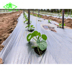 Kunden spezifische landwirtschaft liche Kunststoff-Mulch folie PE-Kunststoff-Mulch rollen für Gemüse - Product Image 5