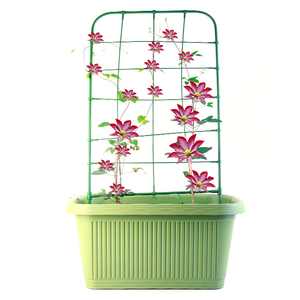 Cadre d'escalade de jardin en plastique, 3 anneaux, <span class=keywords><strong>Support</strong></span> pour plantes, bon marché prix d'usine, livraison gratuite - Product Image 6