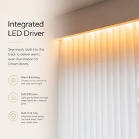 Système de rideaux intelligents à lumière ambiante LED avec commande vocale IA hors ligne