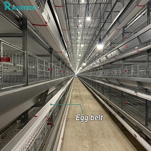 Sistema <span class=keywords><strong>de</strong></span> Jaulas Automáticas Tipo H para Gallinas Ponedoras, Maquinaria para Producción <span class=keywords><strong>de</strong></span> <span class=keywords><strong>Huevos</strong></span>, Acero Galvanizado en Caliente, Equipo para Granjas Avícolas - Product Image 6