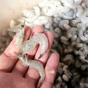 Máquina Automática para Lavar, Clasificar y Calibrar Pescado y Camarones, Equipo de Procesamiento de Camarones - Product Image 1