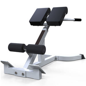 Chaise romaine de qualité professionnelle, banc d'hyperextension, structure stable pour salle de sport et centre de fitness - Product Image 1