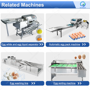 Máy Phân Loại Và Rửa Trứng Cỡ Nhỏ Đa Năng Máy Phân Loại Trứng Gà Để Bán - Product Image 3