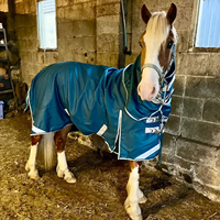 Couverture d'hiver pour cheval Elite Stable, imperméable, anti-déchirure, 1200D, respirante, 350g, chaude et économique