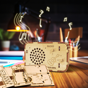 DIY RADIO SPEAKER Kit Experimento Elétrico Kid 3D Madeira Montar Ciência Engenharia Stem Brinquedos - Product Image 6