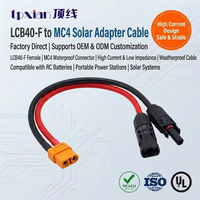Kabel Cabang PV Surya Custom 10AWG 12AWG Amass LCB40-F ke Adaptor Konektor Surya Dual MC4 untuk Generator Pembangkit Listrik Portabel