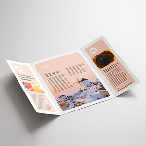 Tùy Chỉnh Kinh Doanh Đầy Đủ Màu Sắc Tờ Rơi 3 Bảng Điều Khiển Cổng Gấp Brochure C Fold Tài Liệu - Product Image 4