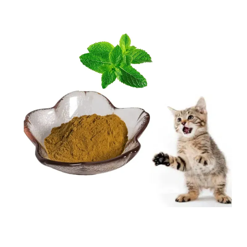 Free Sample Organic Factory Supply High Quality Best Price High Quality 10:1 Nepeta Cataria Extract Powder Catnip Extract