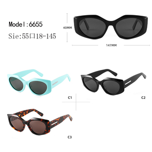 Custom Logo Way farer <b>Sunglasses</b> Full Rim UV400 Polarized Lens Unisex Fashion Casual Transparent <b>Frame</b> - Product Image 3