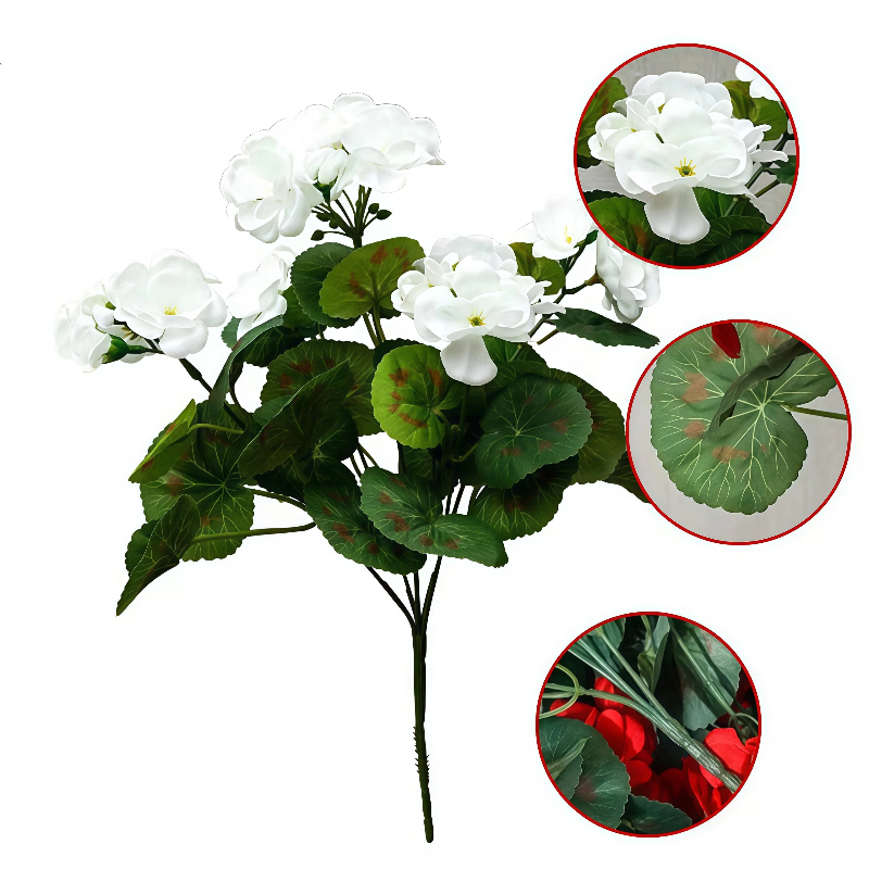 Blanco
